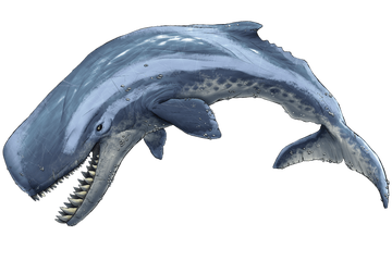 prehistoric whale leviathan