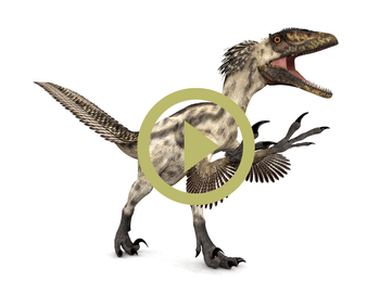 Deinonychus  The Raptor That Terrorized Cretaceous North America 