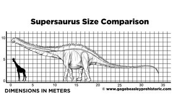 supersaurus size comparison