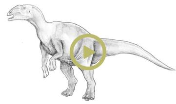 Paleontologists Stunning Conclusion: 2.5 Billion T. Rexes Roamed North  America Over the Cretaceous Period