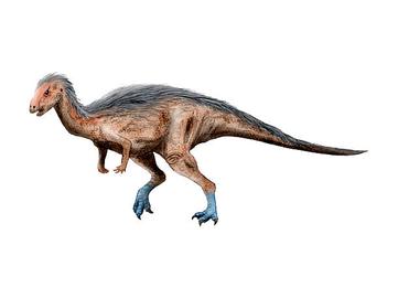 Giving some love to the little runner of the #MorrisonFormation,  #Dryosaurus! Tags • #Jurassic #dinosaur #ornithopod #ornithischia…