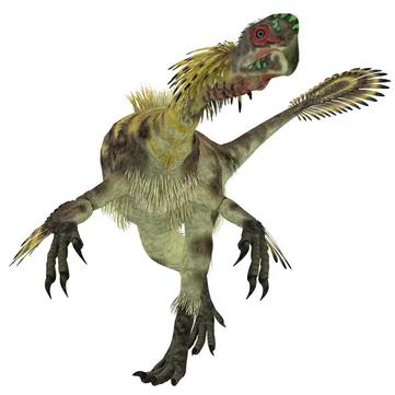 Plumage of the Past: 15 Feathered Dinosaurs Worth Knowing - Gage Beasley  Prehistoric