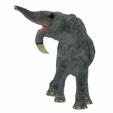 Deinotherium  3D Dinopedia