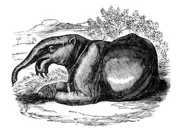 An Ultimate Guide to Deinotherium: The Terrible Beast