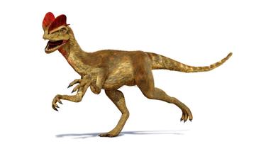 Deinonychus  3D Dinopedia