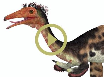 An Ultimate Guide to Deinonychus: The Terrible Claw - Gage Beasley  Prehistoric