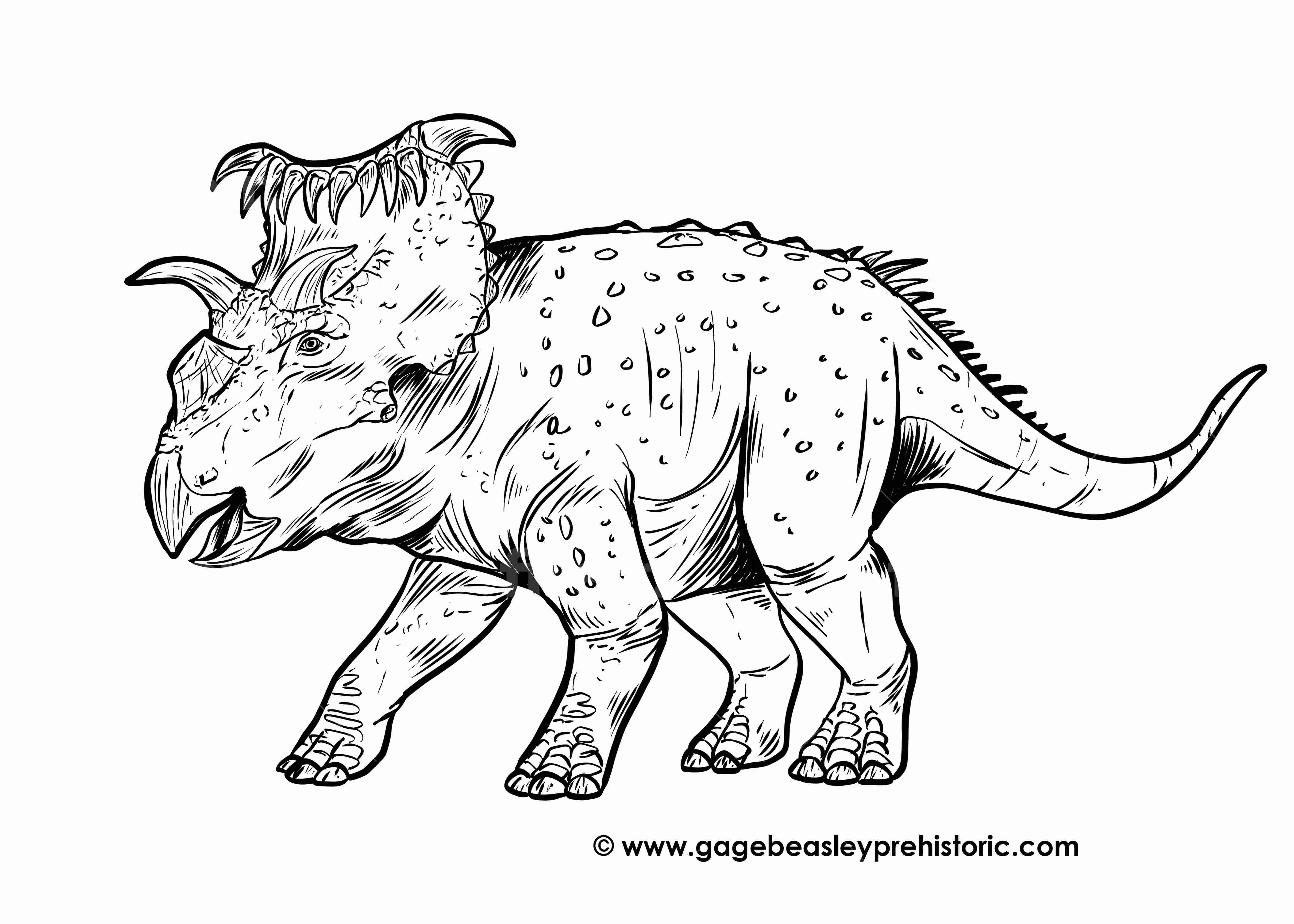 DINOSAURS, DinoPedia - The Dino Dan Wiki