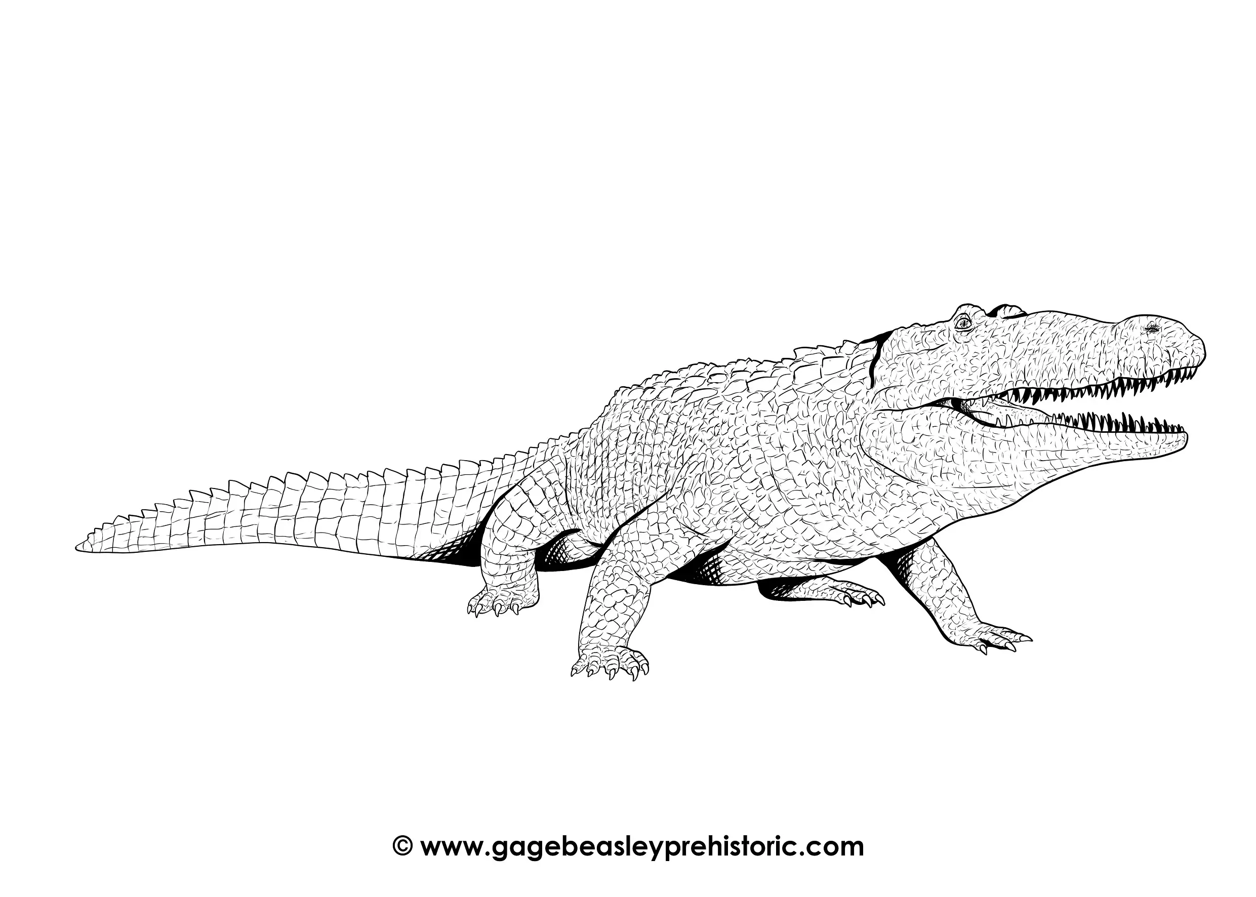 An Ultimate Guide to Deinosuchus: The Terrible Crocodile