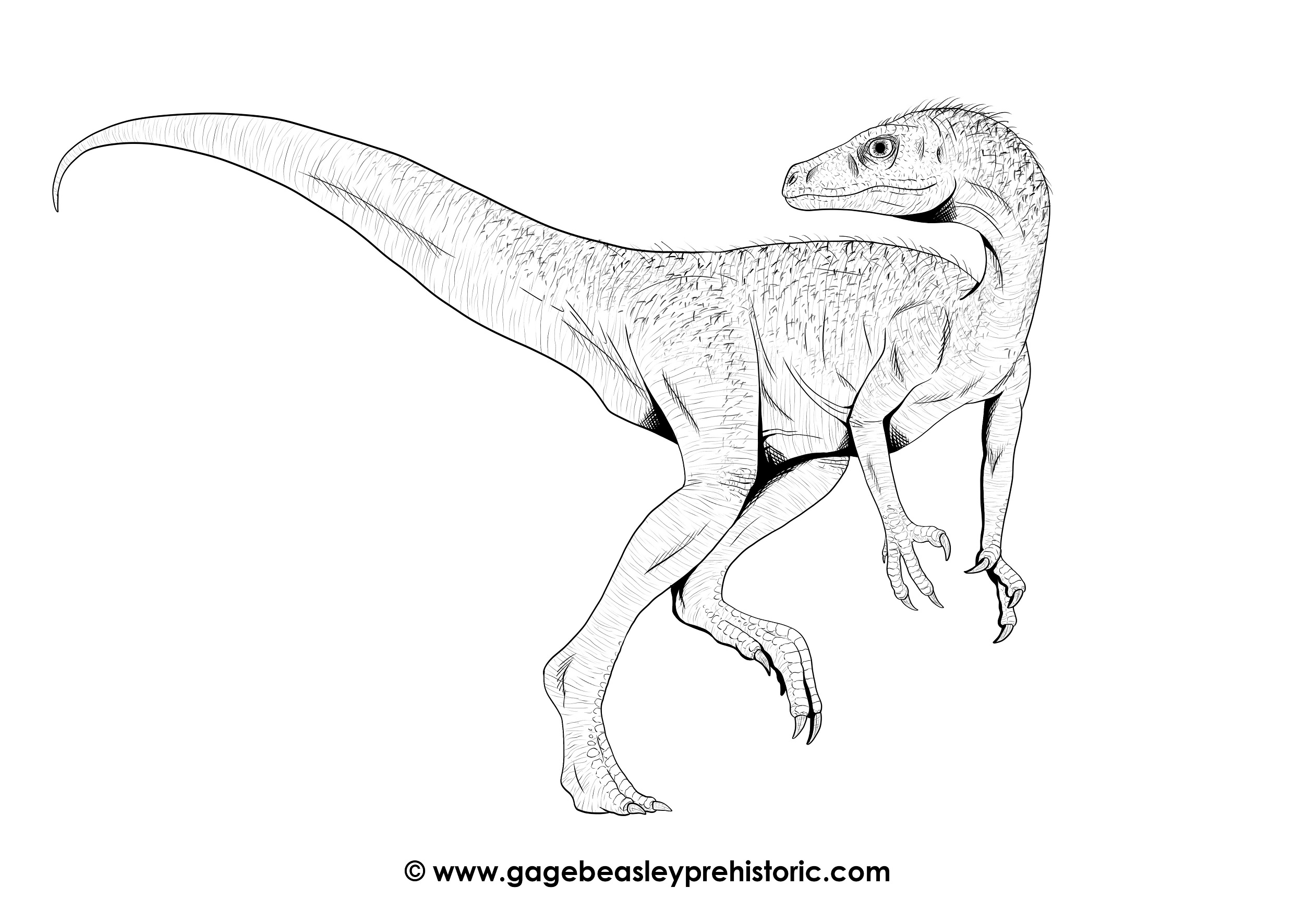 An Ultimate Guide to Eoraptor: The Dawn Plunderer - Gage Beasley ...