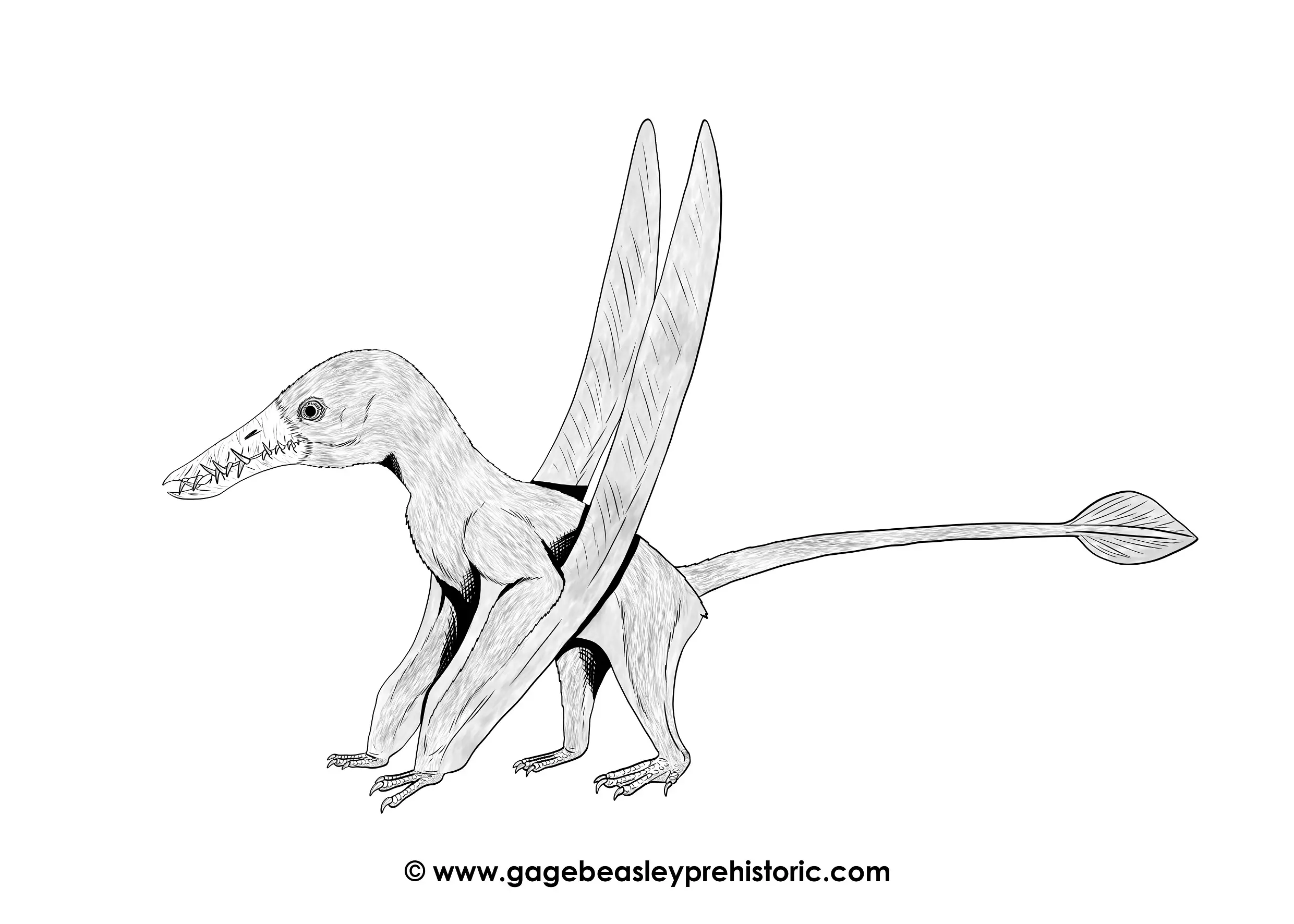 Pterosaurs - ScienceDirect